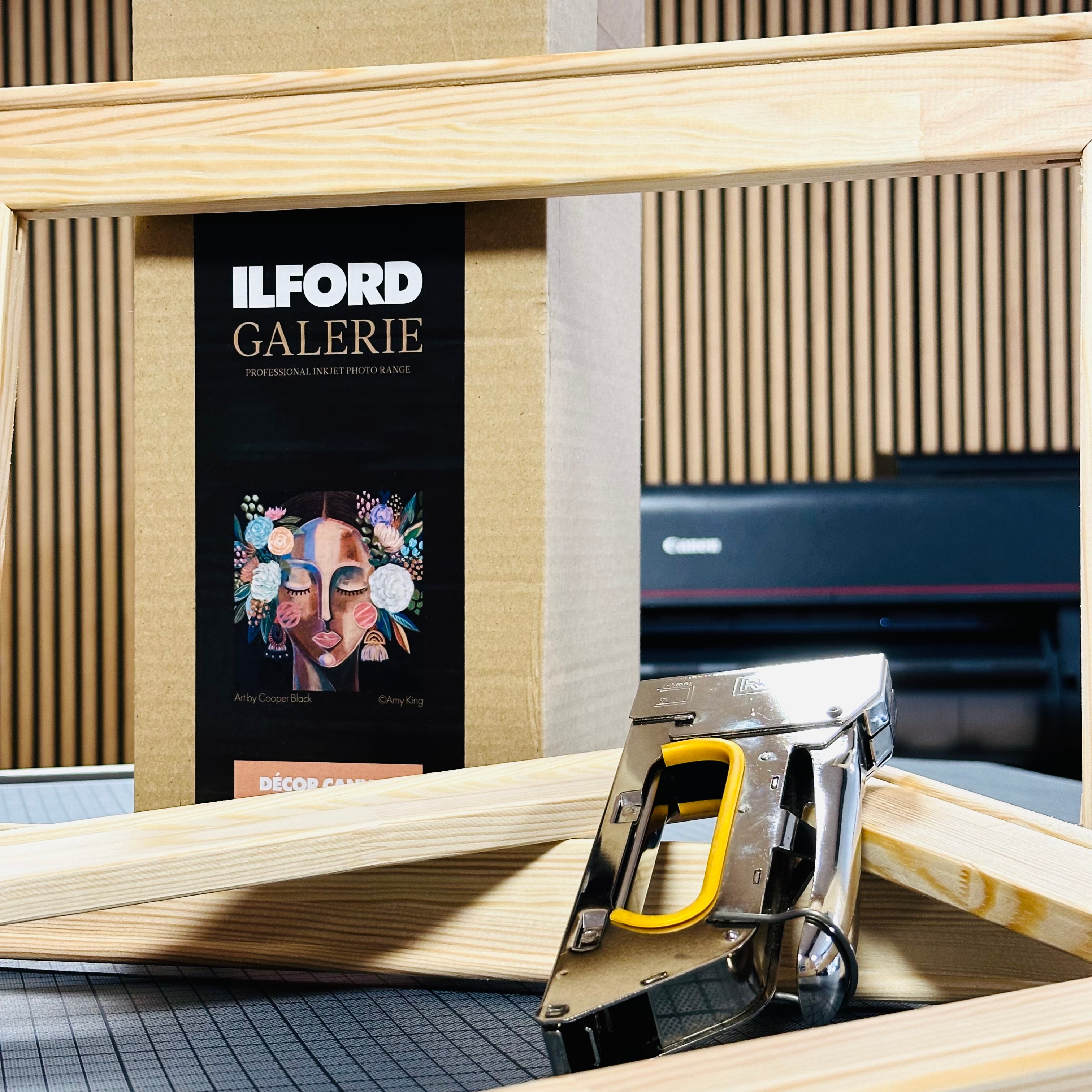 Fotoleinwände selber produzieren auf Ilford Canvas