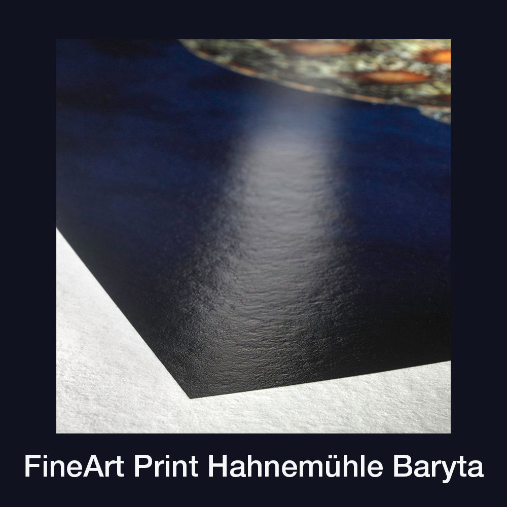Printservice | FineArt-Print (Baryt / Rag)