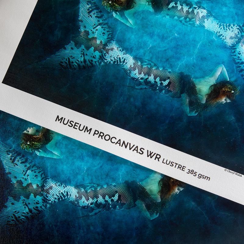 CANSON INFINITY - Museum ProCanvas WR Lustre 100% Cotton 385 | 24" x 12.2m Rolle