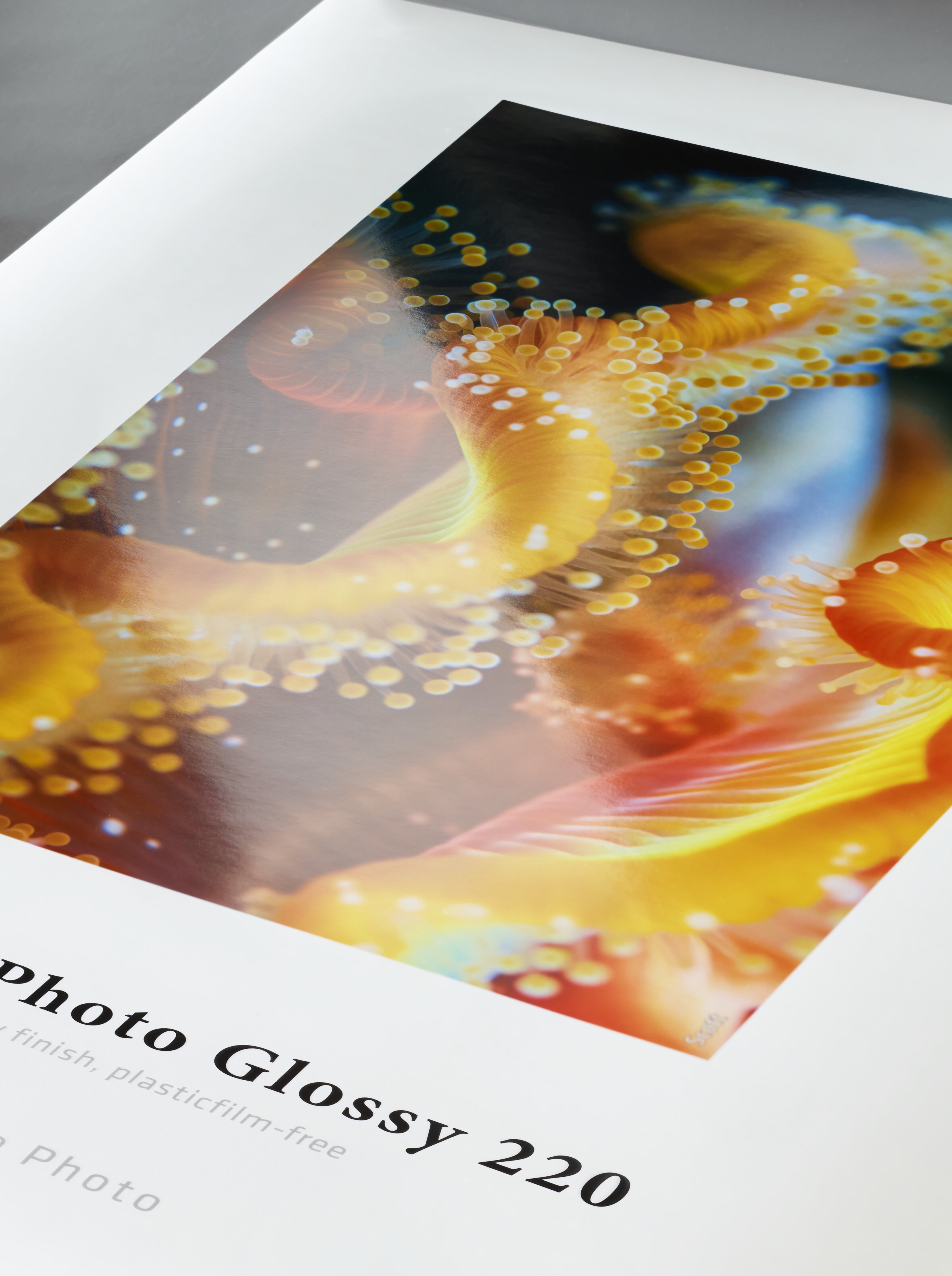 HAHNEMÜHLE Sustainable Photo Glossy 220 | A4 25 Blatt