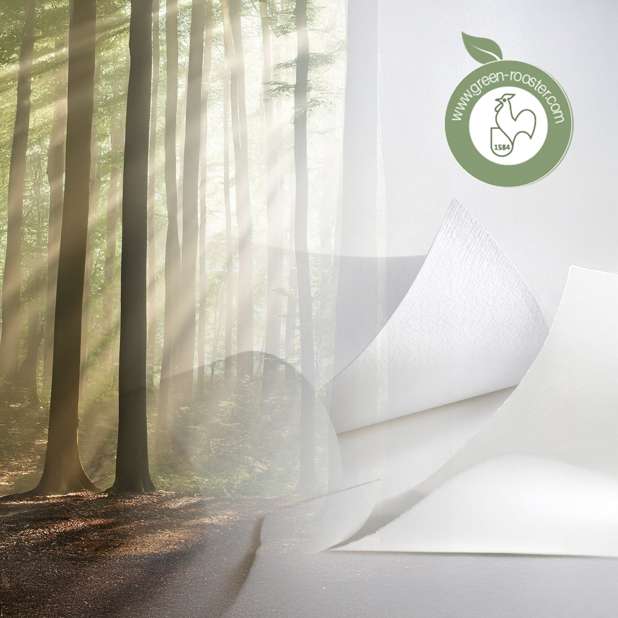 Nachhaltigkeit im Fotodruck | Zwei neue Papiere von Hahnemühle (im Vergleich zu konventionellen Alternativen)