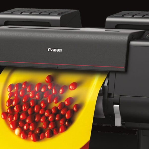 Original Tinte Canon iPF Pro 2000 2100 4000 4100 6000 / PFI-1700 INK 700ml - OVP
