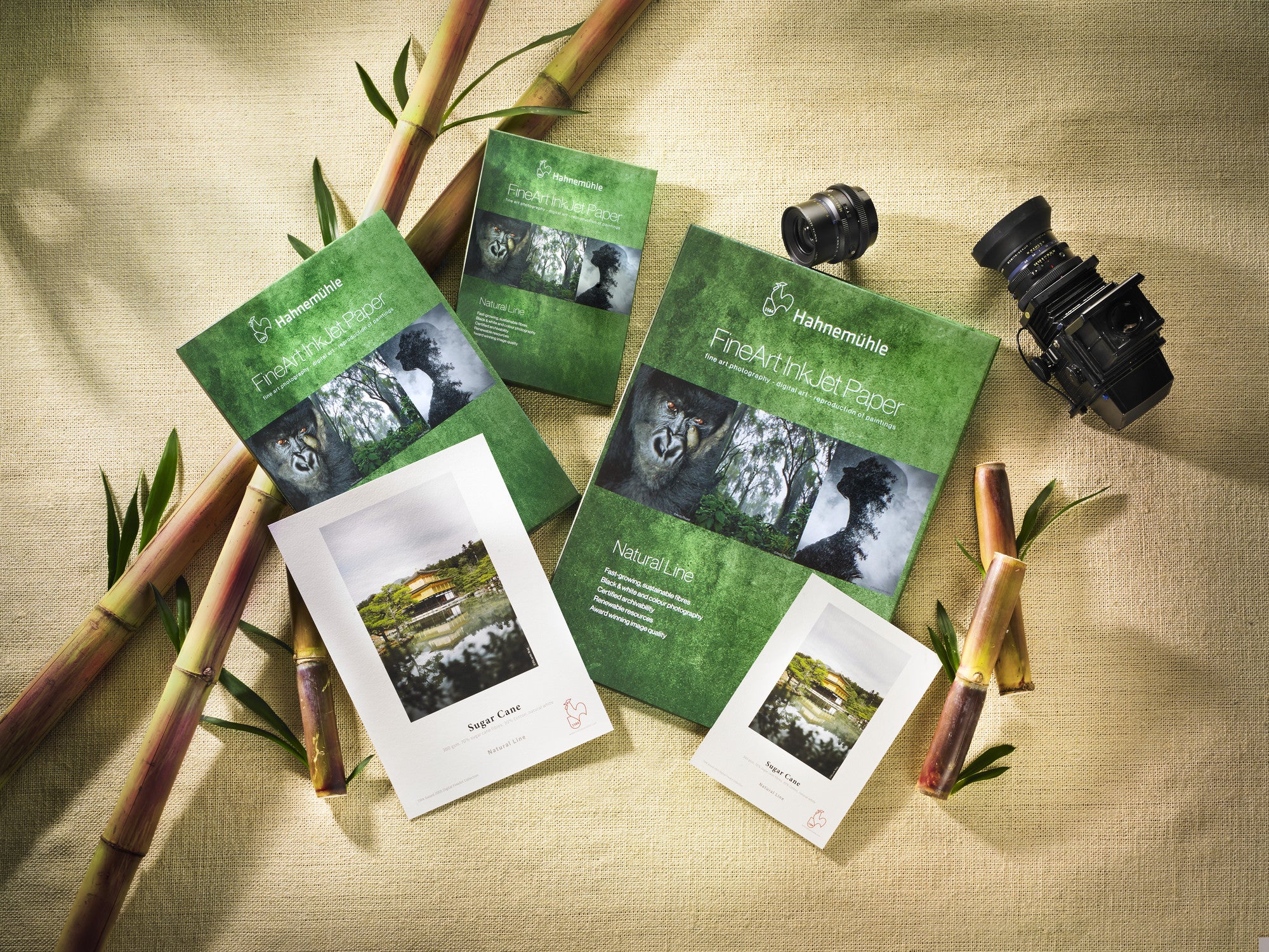 HAHNEMÜHLE Sugar Cane 300