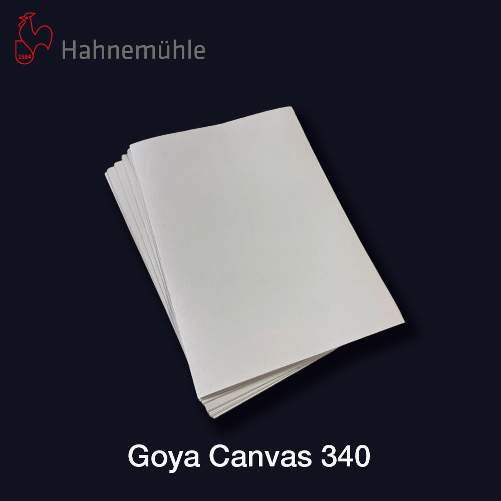HAHNEMÜHLE Goya Canvas 340 | A4 15 Blatt