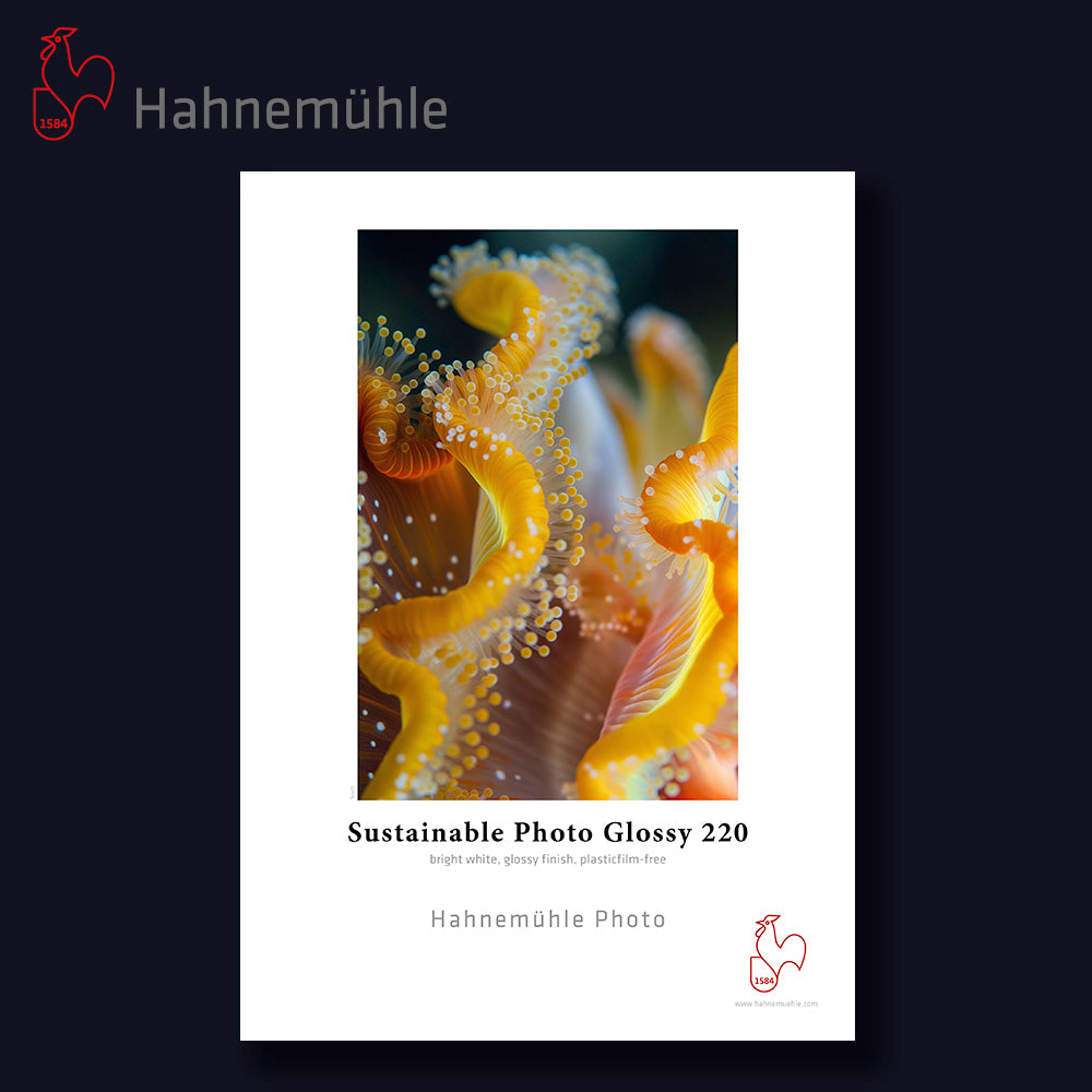 HAHNEMÜHLE Sustainable Photo Glossy 220 | A4 25 Blatt