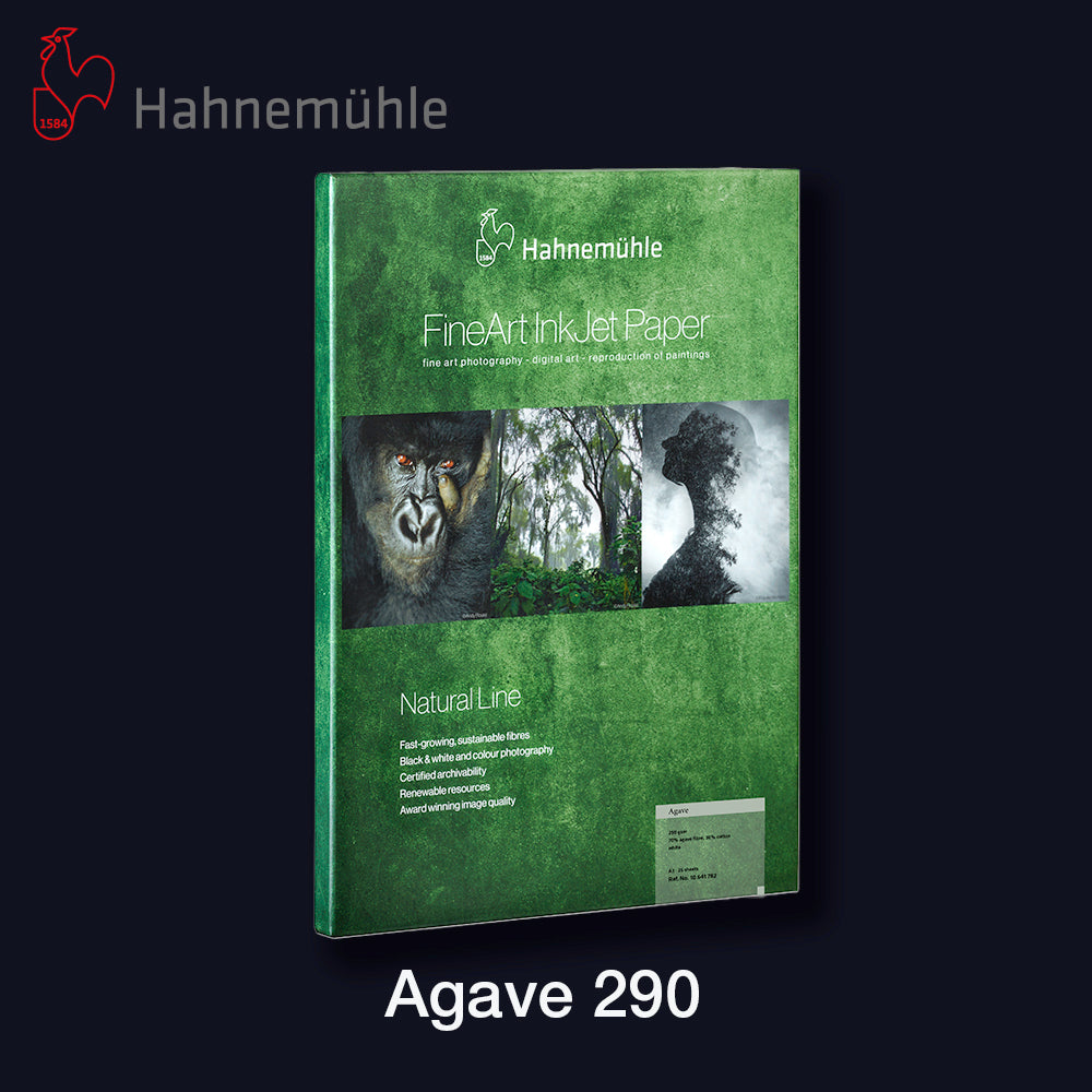 HAHNEMÜHLE Agave 290 | A4 25 Blatt