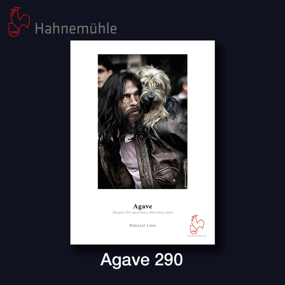 HAHNEMÜHLE Agave 290 | A2 25 Blatt