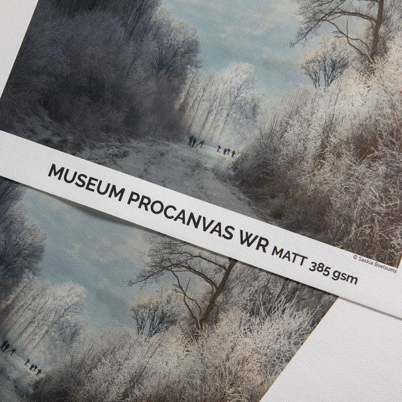 CANSON INFINITY - Museum ProCanvas WR Matte 100% Cotton 385 | 24" x 12.2m Rolle