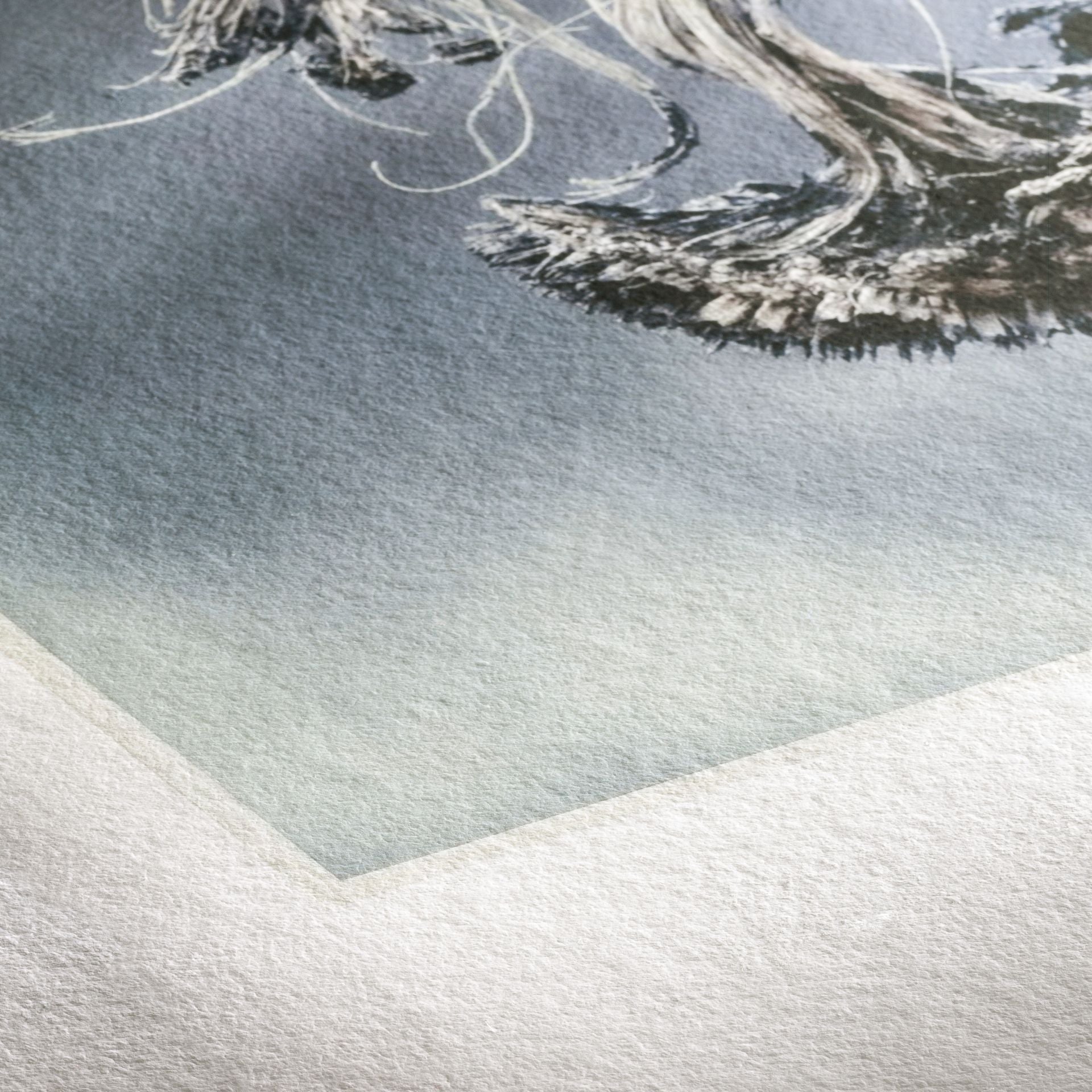 HAHNEMÜHLE Museum Etching 350 | A2 25 Blatt