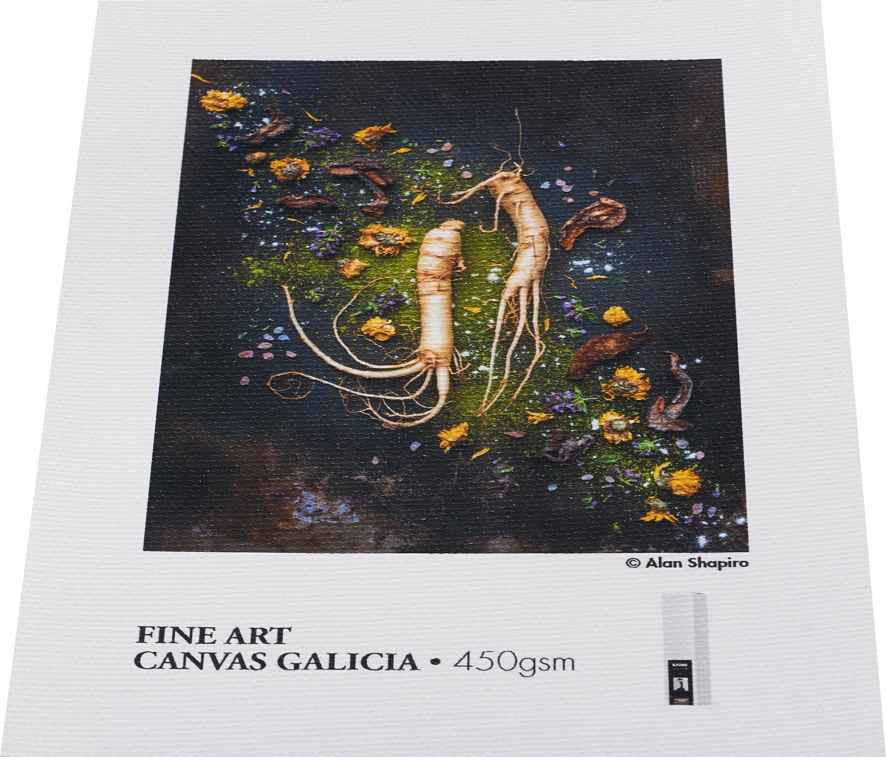 ILFORD GALERIE FineArt Canvas Galicia 450gsm | 60" - 152,4cm x 15m