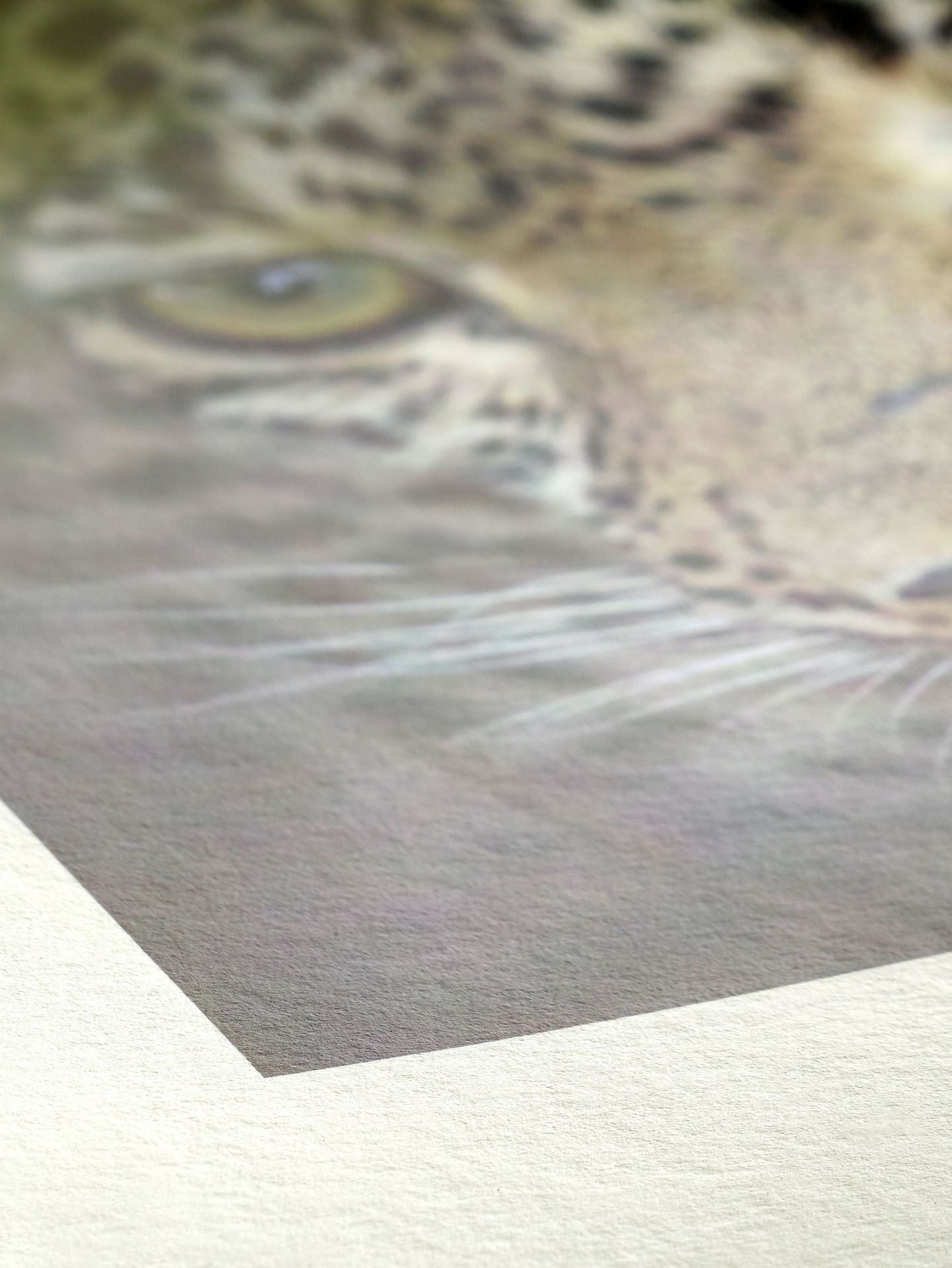 HAHNEMÜHLE Sample Pack Natural Line (Muster-Packung)
