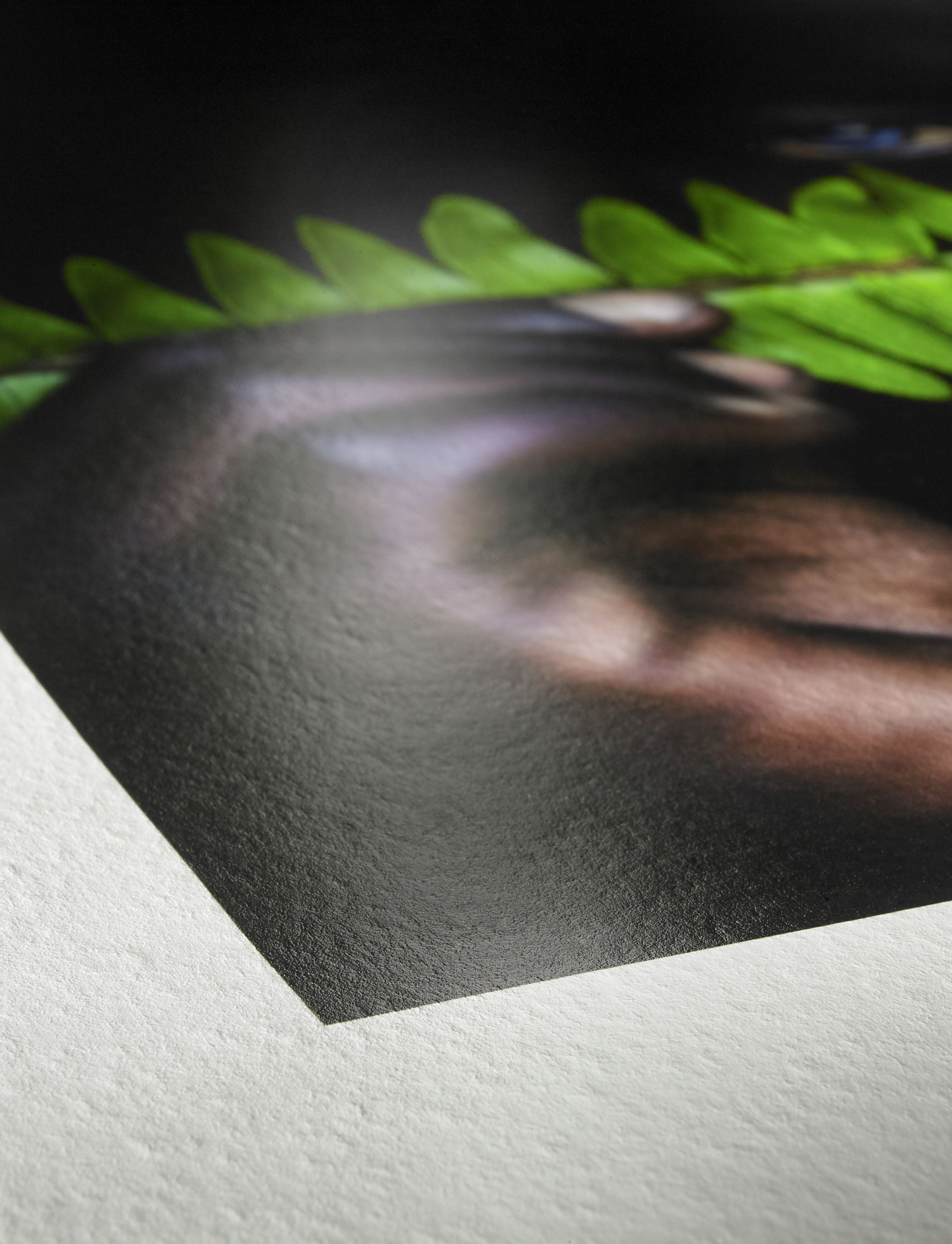 HAHNEMÜHLE Sample Pack Glossy FineArt (Muster-Packung)