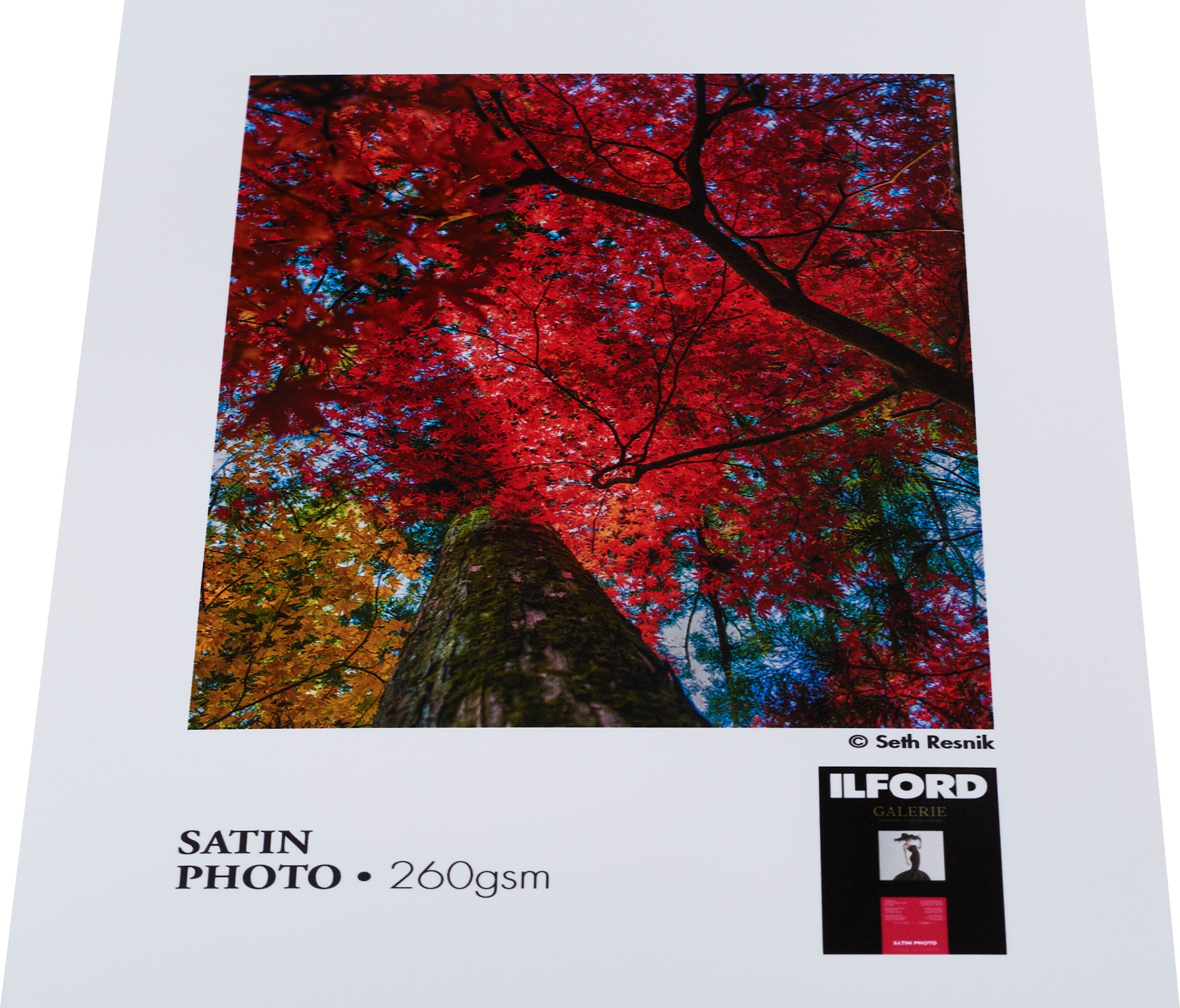 ILFORD GALERIE Satin Photo 260gsm | Rolle 36" - 91,4cm x 30,5m